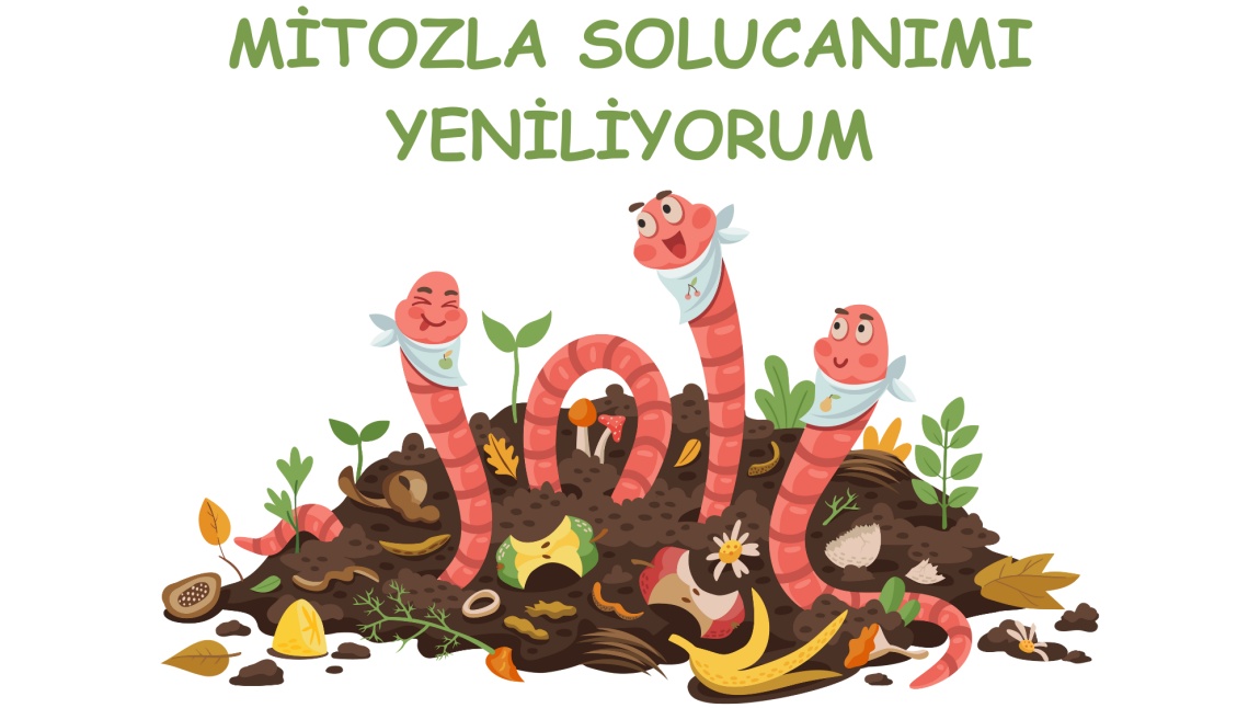 MİTOZLA SOLUCANIMI YENİLİYORUM